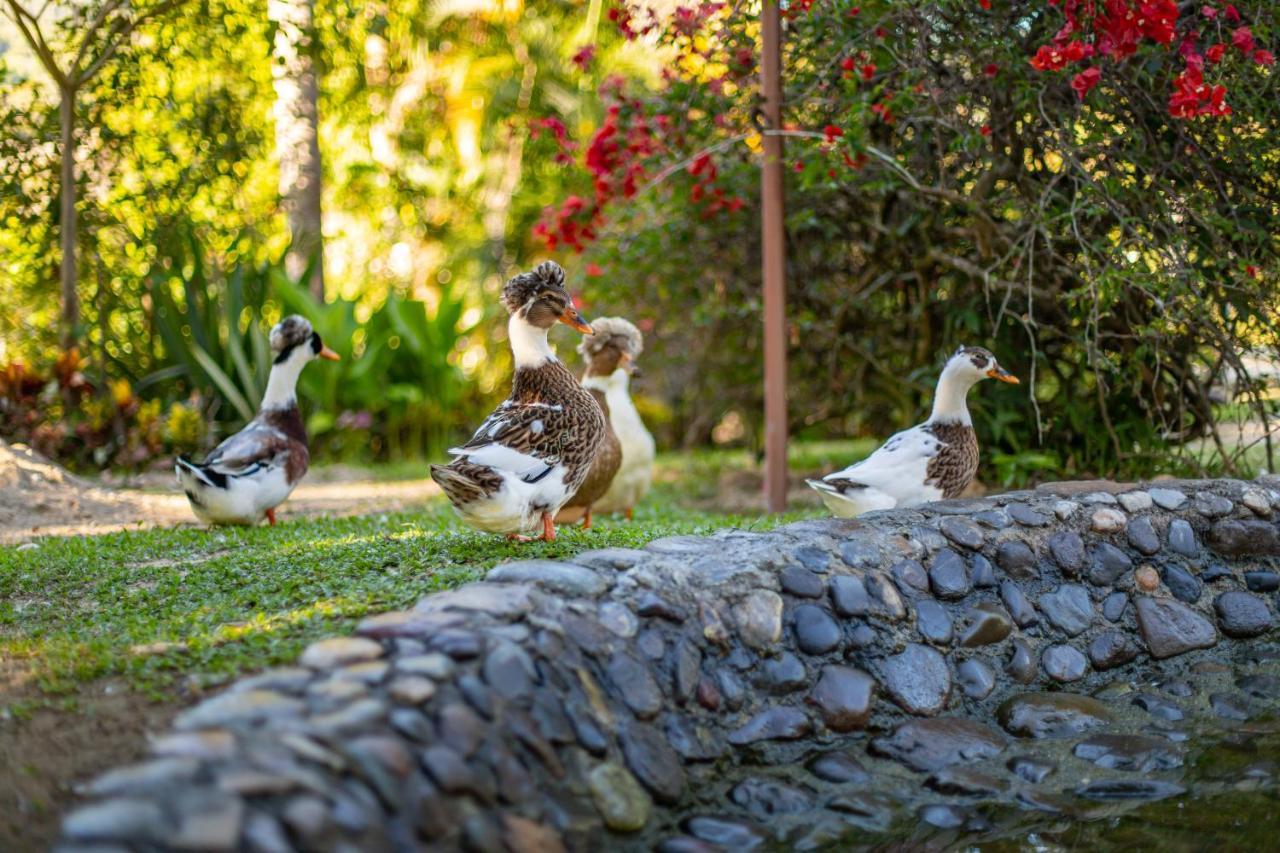 Portales Del Tayrona Garden Hotel Calabazo  Buitenkant foto