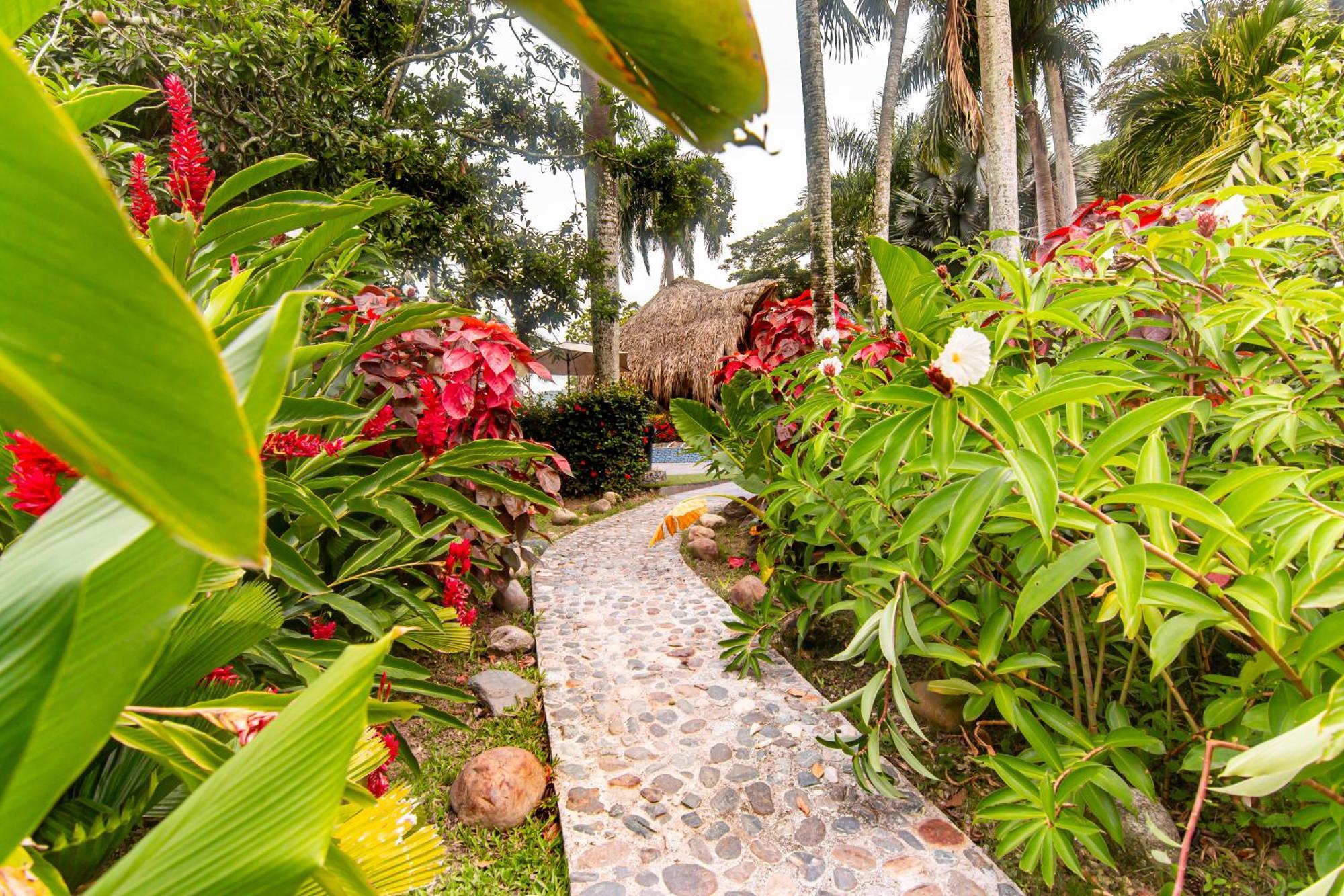 Portales Del Tayrona Garden Hotel Calabazo  Buitenkant foto