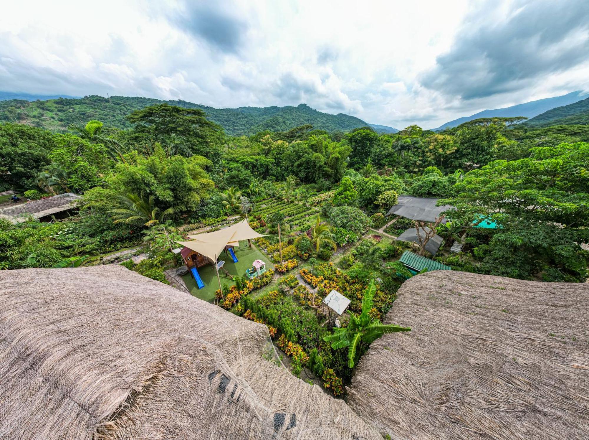 Portales Del Tayrona Garden Hotel Calabazo  Buitenkant foto